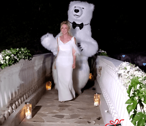 The White Polar Bear came to the wedding to deliver the gift to the bride and groom. Gift Delivery. Wedding gift. Polar bear surprise. White Polar Bear at the wedding.